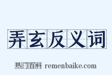 弄玄反义词是什么意思的图片